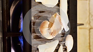 person grilling an adriatic sea squid on a gril on a home kitchen stove