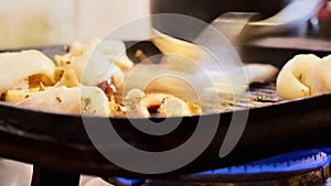 person grilling an adriatic sea squid on a gril on a home kitchen stove