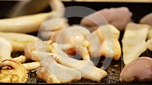 person grilling an adriatic sea squid on a gril on a home kitchen stove