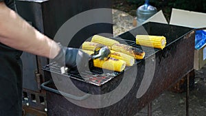 Person grills corncobs turning occasionally. Grilled corn