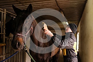 Person grooming black horse in stable