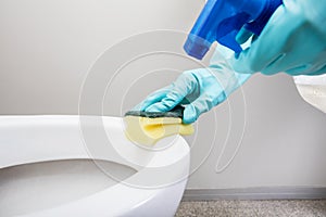 Person Hand Cleaning Toilet Using Sponge