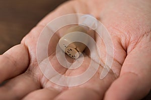 Person Hands Holding Hearing Aid