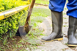 gardener person in the field working with shovel photo