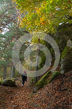 A person hiking with his camera through an autumn landscape