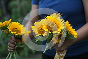 Person holding bouquet of sunflowers. Love, care, share kindness and humanity symbol concept.