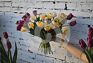 person holding bouquet of yellow and purple tulips on white brick