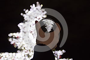 Person holding a crystal ball with the reverse reflection of the illuminated white Christmas tree