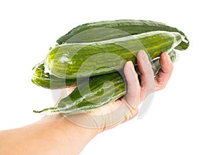 Person holding cucumbers on white