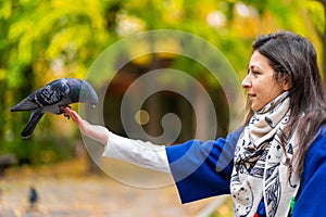 The person is holding a dove on the hand. Feeds pigeons in the park. Tame a pigeon