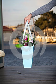 Person Holding Flower Pot With Colorful Flowers, Copy Space