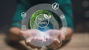 A person is holding a green ball with the word Net Zero written on it