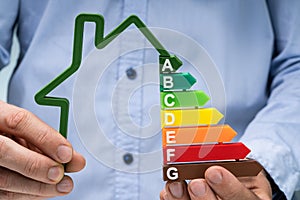 Person Holding Green House Energy Efficiency Graph