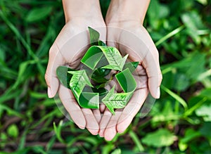 Person Holding Green Leaf in Hands