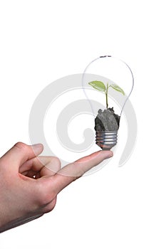 Person holding a green light bulb