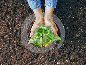 Person holding green sprout.