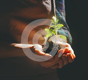 Person holding green sprout