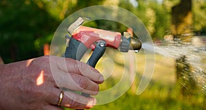 Person holding hose spray gun. Spraying water. Watering the plants in the garden.