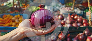 Person holding a magenta onion, a natural food and vegetable ingredient