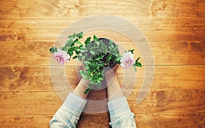 Person holding a potted flower on a rustic table