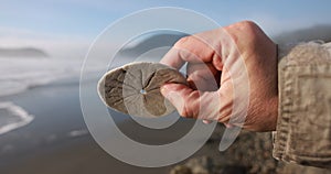 A person is holding a sand dollar on a beach