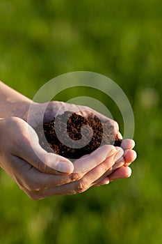 Person holding soil in hands