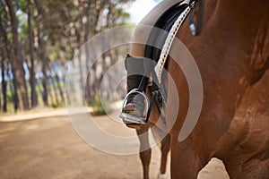 Person, horse and countryside for riding in texas, stirrup and sport training for performance. Farm, rural and nature in