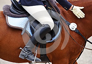 Person on horse in jodhpurs