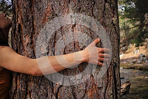 A person hugging a tree in the middle of the forest