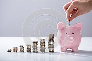 Person Inserting Coin In The Piggybank