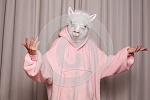 Person with lama head standing on studio wall background