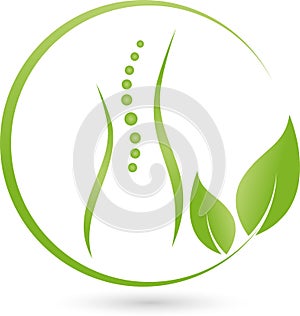 A person and leaves, massage and naturopathic logo photo