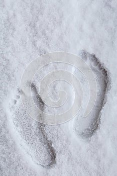 Person leaving traces of his bare feet in the snow