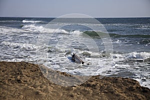 A person lying on a sandy beach next to the ocean