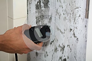 Person Measuring Wetness Of Moldy Wall