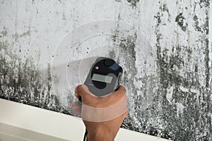 Person Measuring Wetness Of Moldy Wall