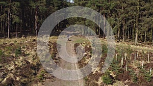 Person mountain biking from a forest towards the camera