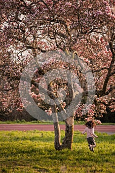 Person in nature. Child running. One Asian girl running under blooming Magnolia flowers