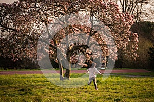 Person in nature. Child running. One Asian girl running under blooming Magnolia flowers