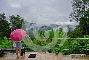 A person with pink umbrella standing front beautiful scenery of foggy tropical mountains in rainy season. lifestyle of people