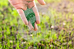 A person planting grass seeds in the garden. Gardening and home improvements