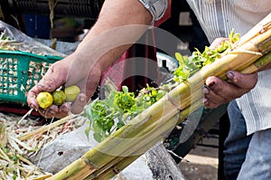 Person preparing a sugarcane for juicing