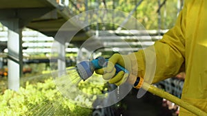 Person in protective uniform spraying dangerous liquid on plants in greenhouse