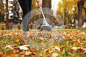 Person raking dry leaves outdoors on autumn day