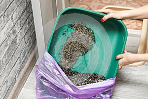 a person recycles used cat litter, close-up.