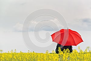 Person with Red Umbrella Standing in Oilseed Rapeseed Agricultura photo