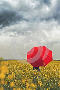 Person with Red Umbrella Standing in Oilseed Rapseed Agricultura