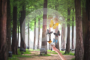 Person releasing butterflies in park