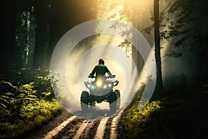 person, riding atv through dense forest, with the sunlight shining through the trees