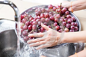 Person`s hand washing grapes with running water in household sin